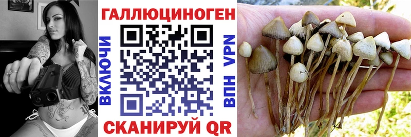Псилоцибиновые грибы Magic Shrooms  Тверь 