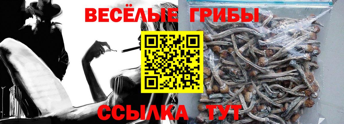 Галлюциногенные грибы Cubensis  Тверь 