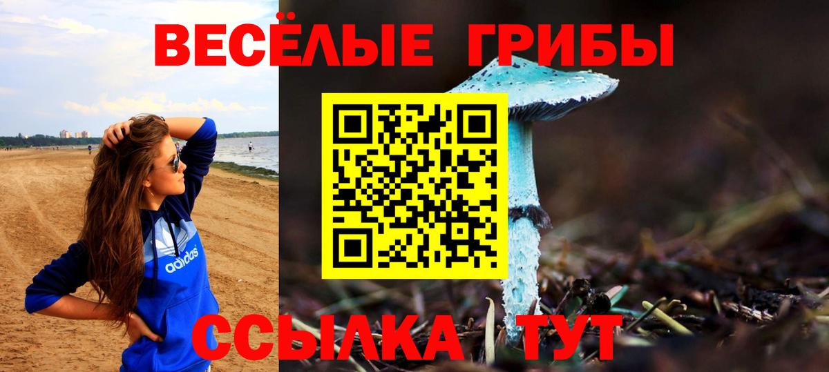 Галлюциногенные грибы GOLDEN TEACHER Тверь